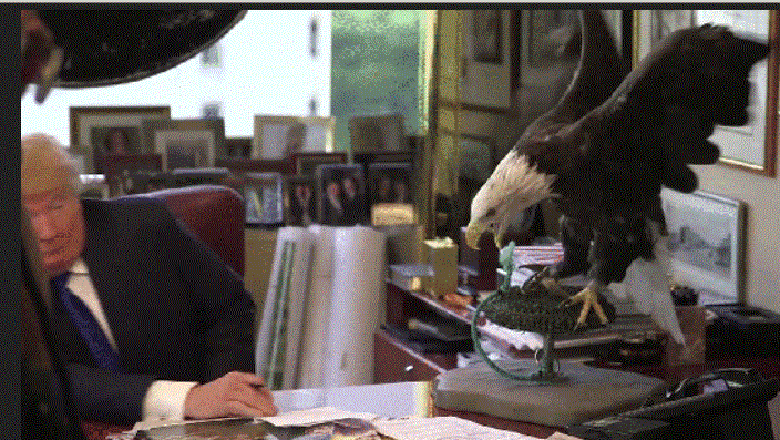 Uncle Sam attacking Donald Trump